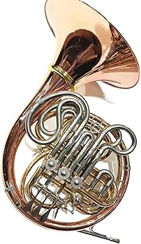 Amazon | フレンチホルン 4キーダブルゴールドブラスフレンチホルン